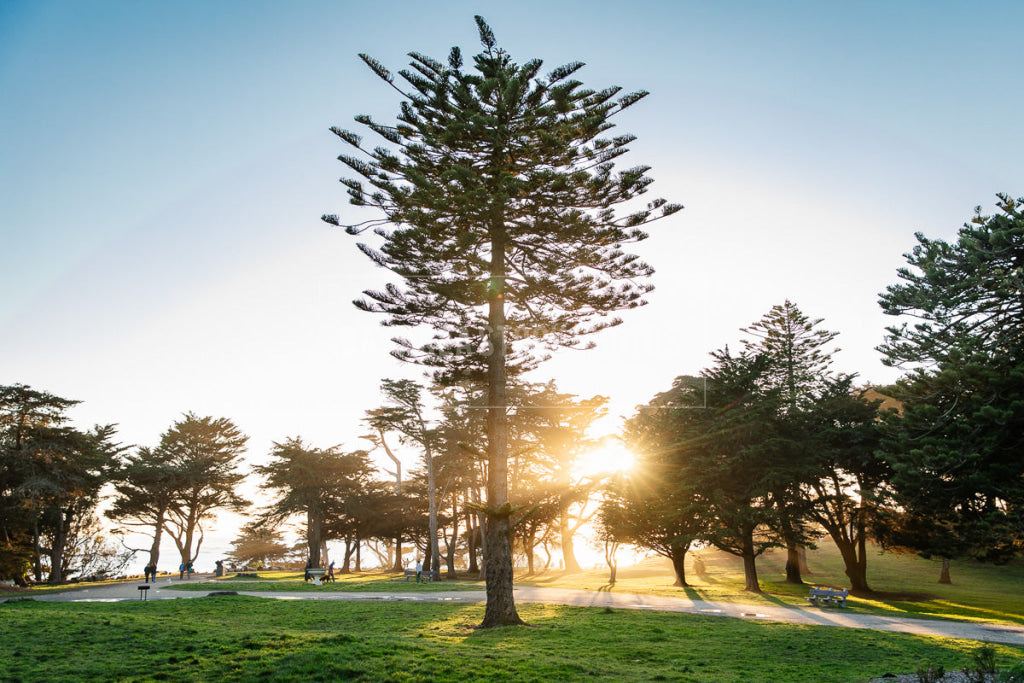 Sutro Heights Park At Sunset