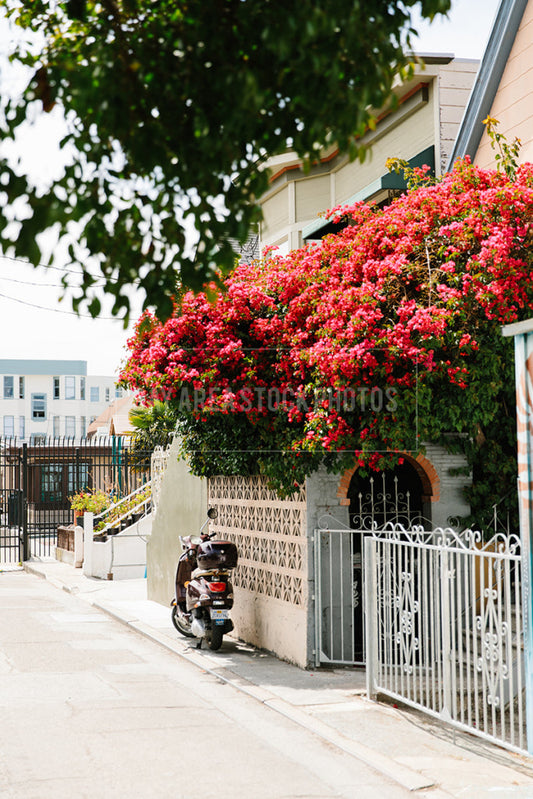 Vespa Parked In The Mission