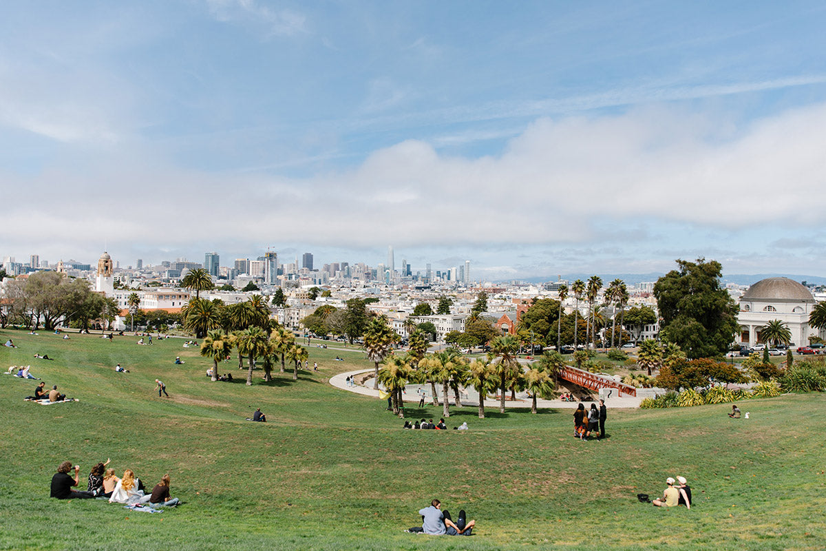 Skyline view from Dolores Park