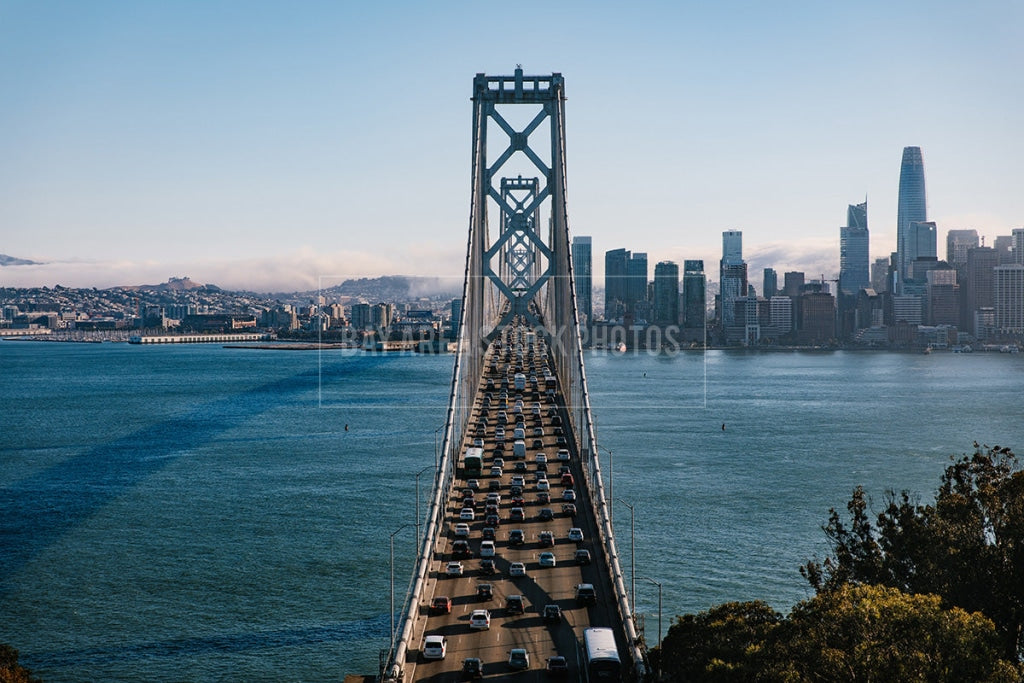 View Of Bay Bridge From Yerba Buena Island